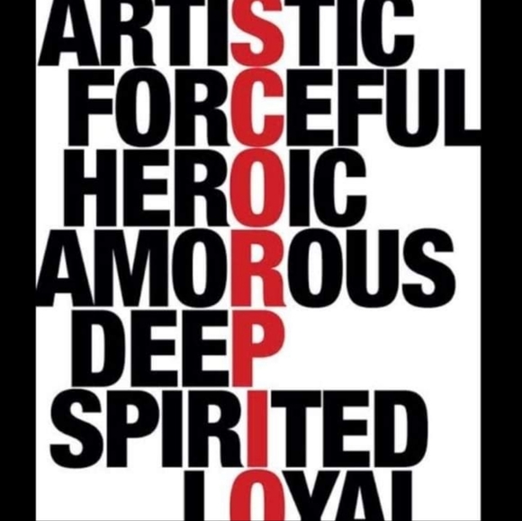 Meet your Posher, Holly - Picture 4 of 10